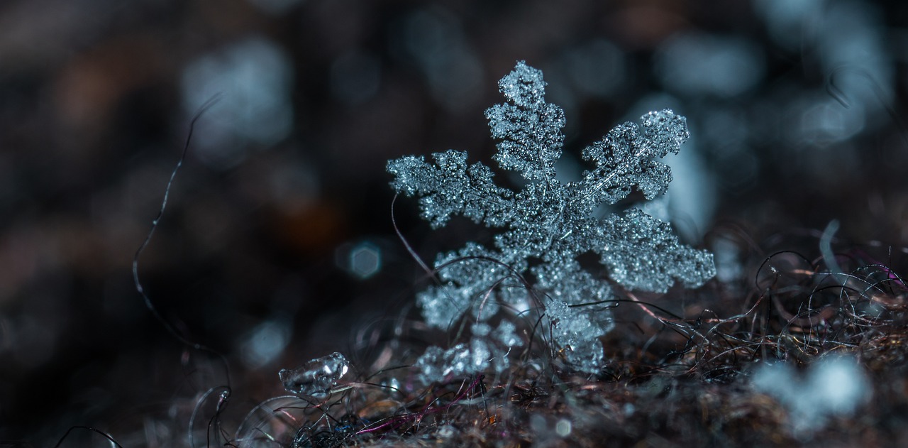 Crafting an Indoor Snow Day: Winter Crafts for Kids